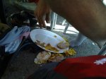 22052010350.jpg