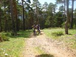 IMG_0811.jpg