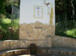 artana 022.jpg