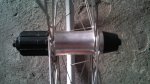 DSC00019.jpg