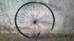 DSC00021.jpg