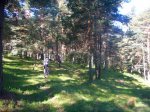 Foto6.JPG