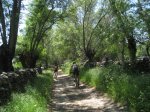 IMG_5446.jpg