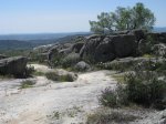 IMG_5443.jpg