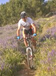 Lechuzos2010_0003.jpg