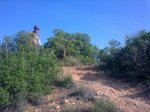 23052010_004.jpg
