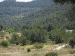 IMG_2433.jpg