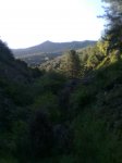 Imagen0038.jpg
