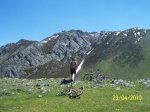 100_2260.jpg