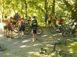 IMG00014-20100523-0945.jpg