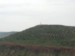 CIMG0008.jpg
