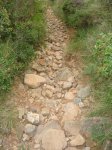 DSC05104.jpg