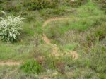 DSC05105.jpg