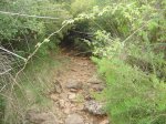 DSC05101.jpg