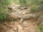 DSC05102.jpg