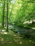 100_3472.jpg