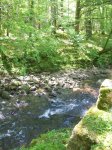 100_3474.jpg