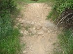 DSC05106.jpg