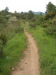 DSC05108.jpg