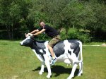 vaca.jpg
