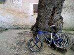 14022010_013..jpg