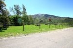 img_1674ok2.jpg