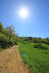 img_1658ok2.jpg