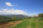 img_1704ok2.jpg