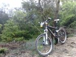23052010367.jpg
