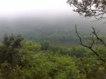 23052010363.jpg