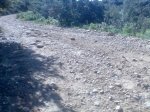 Imagen061.jpg