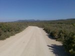 Imagen026.jpg