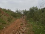CIMG0135.jpg