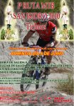 Cartel marcha San isidro 10 .jpg