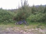 IMG_201005241.jpg