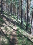 100_6125.jpg