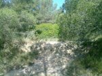 26052010123.jpg