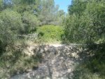 26052010122.jpg