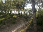 26052010135.jpg