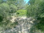 26052010127.jpg