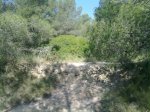 26052010116.jpg