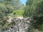 26052010118.jpg