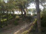26052010138.jpg