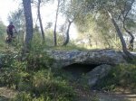 26052010149.jpg