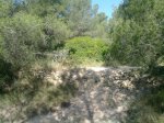 26052010111.jpg