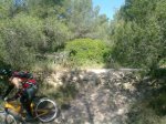 26052010110.jpg