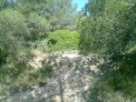 26052010124.jpg