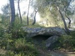 26052010153.jpg