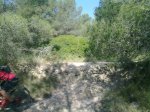 26052010115.jpg