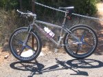 kona 5.jpg